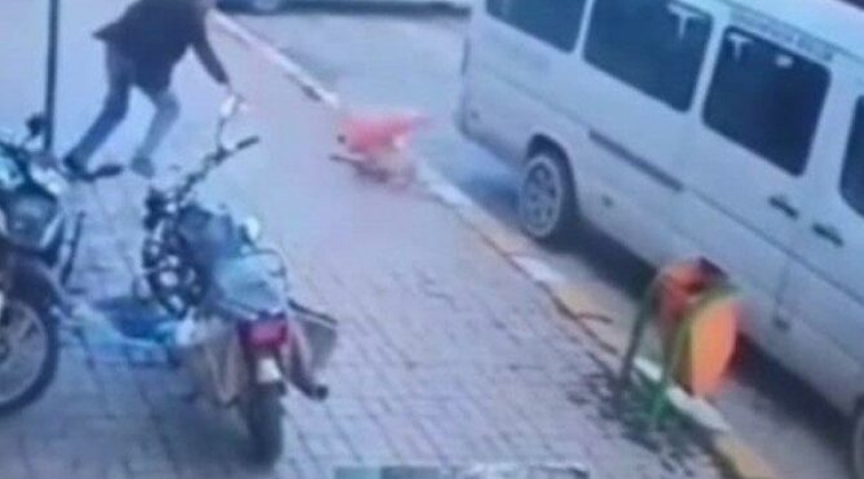 İnsanlık Dışı Görüntüler: Köpeği Önce Minibüsle Ezdiler, Sonra Dubayla Vurdular