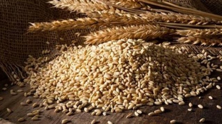 TMO, Ekmeklik Buğday ve Arpa Fiyatlarına Zam Geldiğini Açıkladı