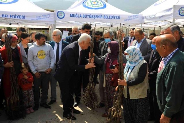 Başkan Gürün, Fethiye'deki Kırsal Kalkınma Projelerini İnceledi