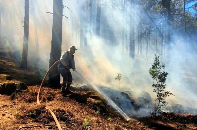 Menteşe'de Çıkan Orman Yangını Söndürüldü
