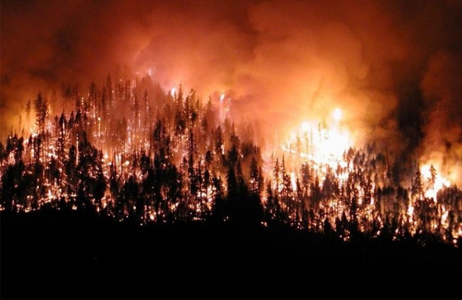 Muğla'da Orman Yangınlarına Karşı Caydırıcı Devriye