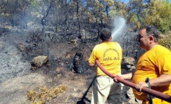 Bodrum’da Korkutan Orman Yangını