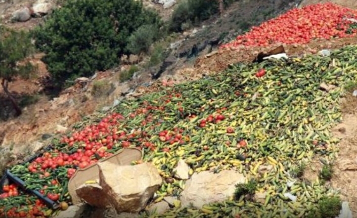 'Çöpe Domates ve Salatalık Atma' Olayıyla İlgili Soruşturma Başlatıldı