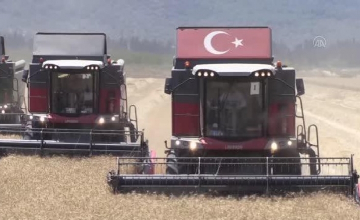 Dalaman TİGEM'de Yerli Tohum Buğdayın Hasadına Başlandı