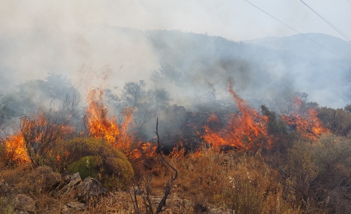Dalaman’da Çıkan Orman Yangını Kontrol Altına Alındı
