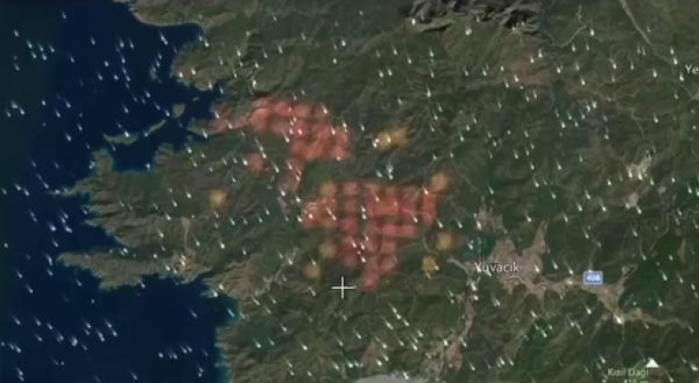 Marmaris'teki Orman Yangınının Boyutu Uydu Görüntülerine Yansıdı!