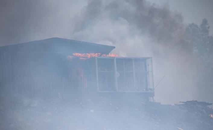 Bodrum'da Ağaçlık Alandaki Yangın Konteyner Eve Sıçradı