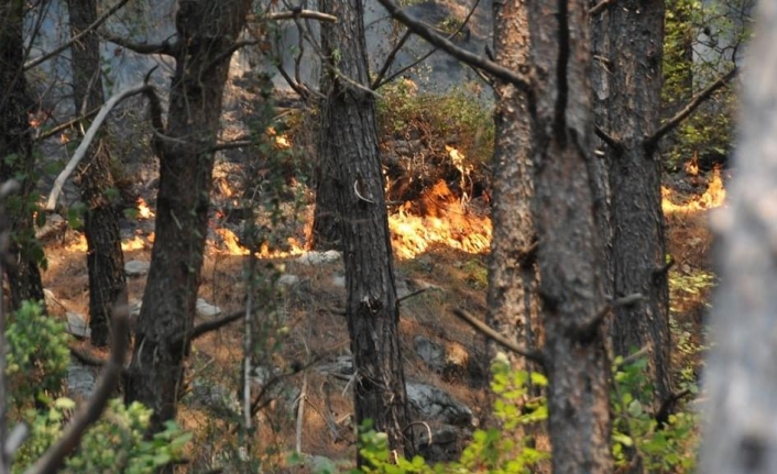 Meteoroloji’den Muğla'ya Orman Yangını Uyarısı
